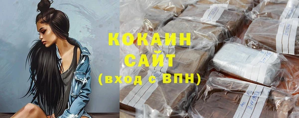 соль ск Киселёвск