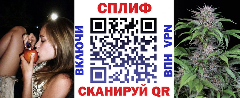 Канабис планчик Уяр